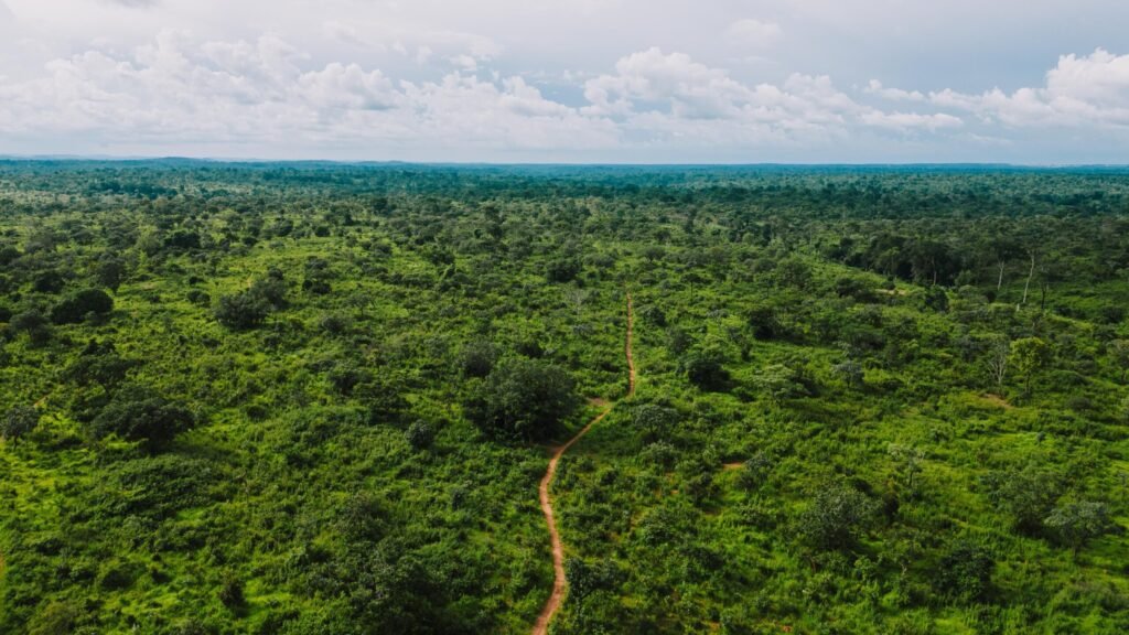 Freehold, Leasehold and Customary Land in Ghana